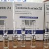 50 Amp Testosterone Enanthate 250mg/ml by Aburaihan Tehran - Iran Original